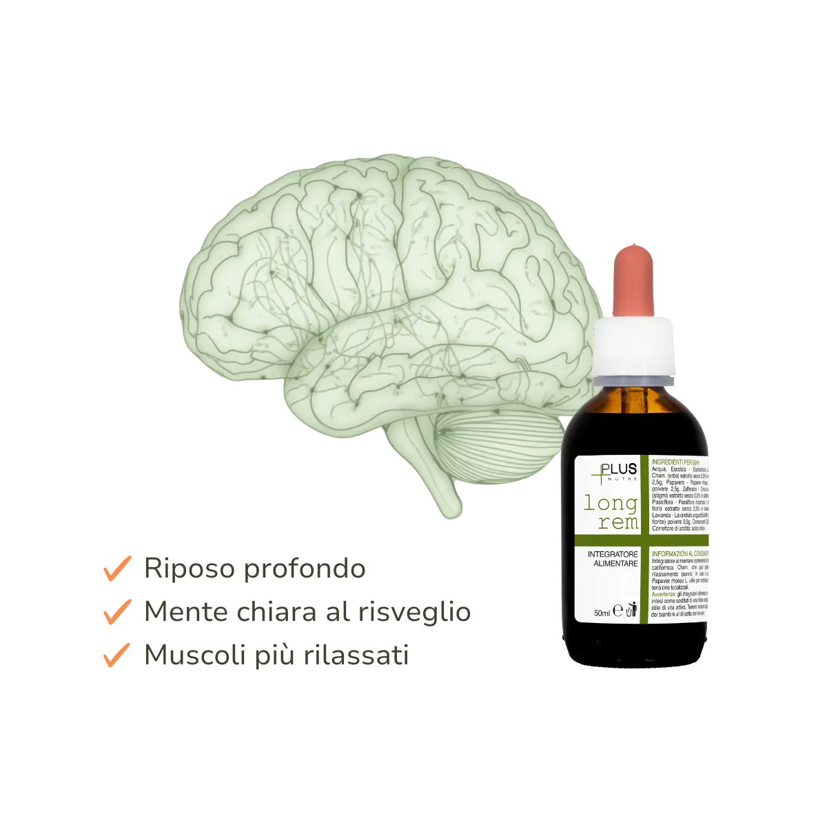 Longrem Dormire Meglio