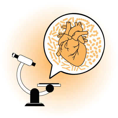 Nutriamo il nostro microbiota, coltiviamo la nostra salute cardiovascolare.