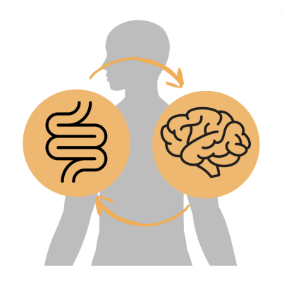 Fine estate: microbiota e benessere psicofisico.