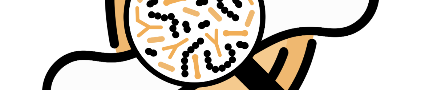 Osteoporosi: Microbiota, Alimentazione e Rimedi Naturali