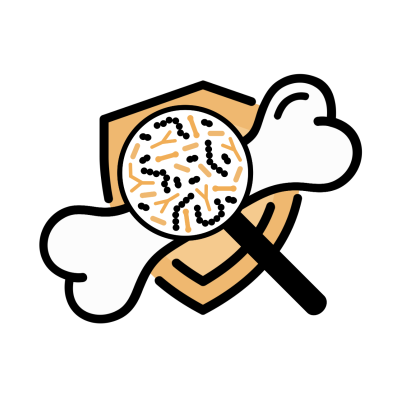 Osteoporosi: Microbiota, Alimentazione e Rimedi Naturali