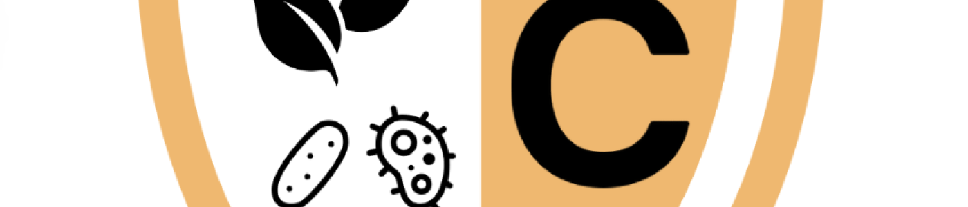 L’importanza della natura per il sistema immunitario.