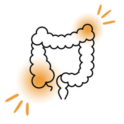 Una sinergia naturale contro disbiosi e infiammazione intestinale.