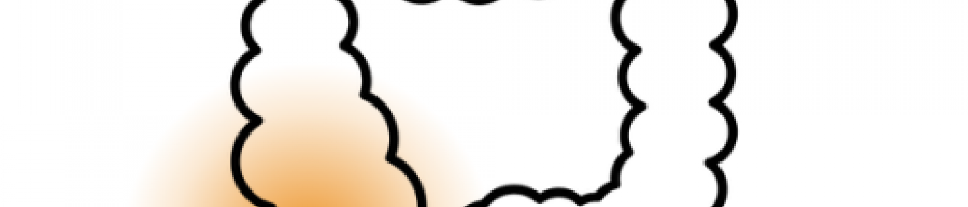 Una sinergia naturale contro disbiosi e infiammazione intestinale.