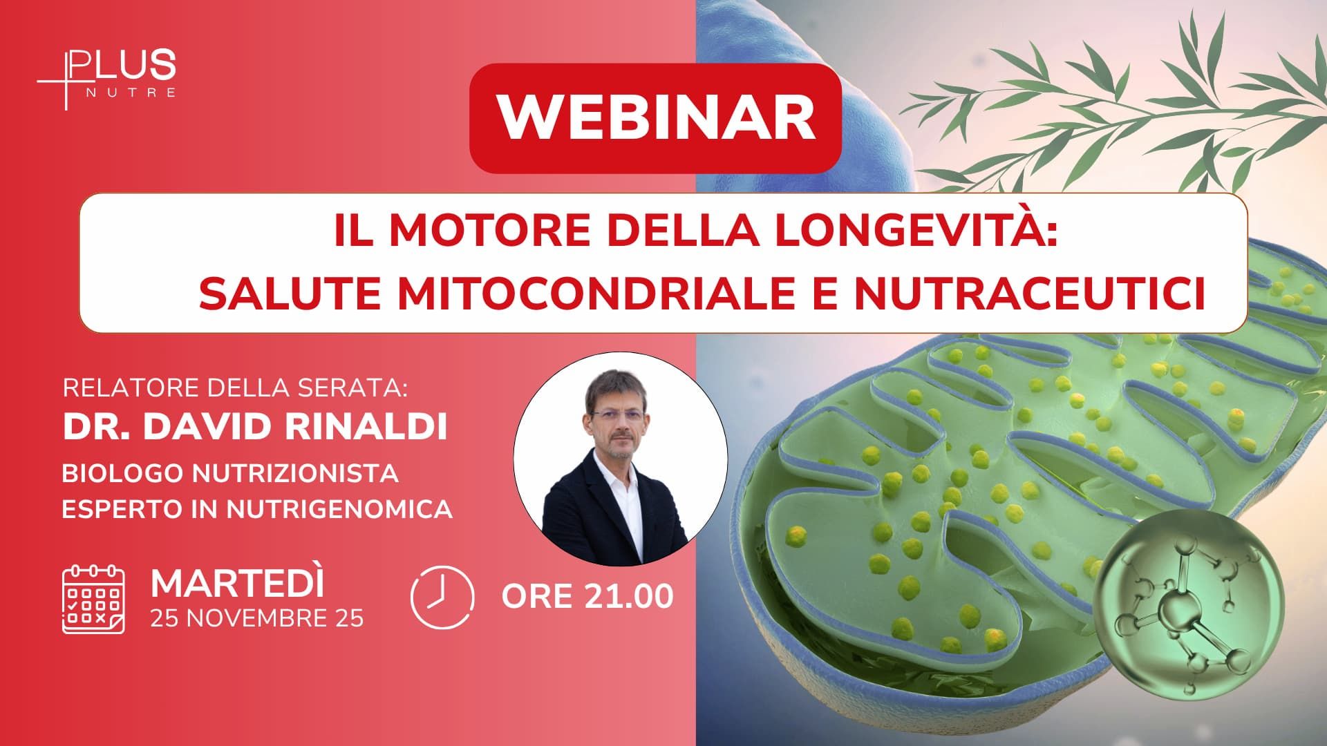 Webinar - Il motore della longevità: salute mitocondriale e nutracuitici