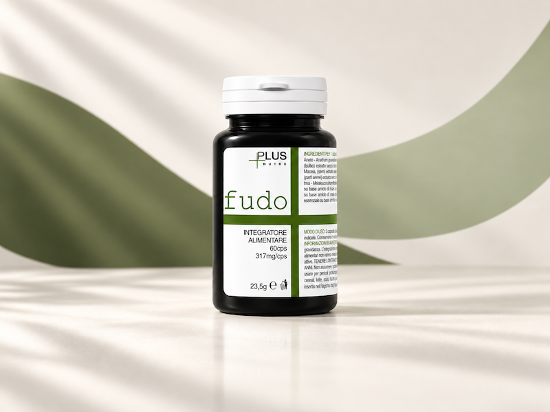 Fudo