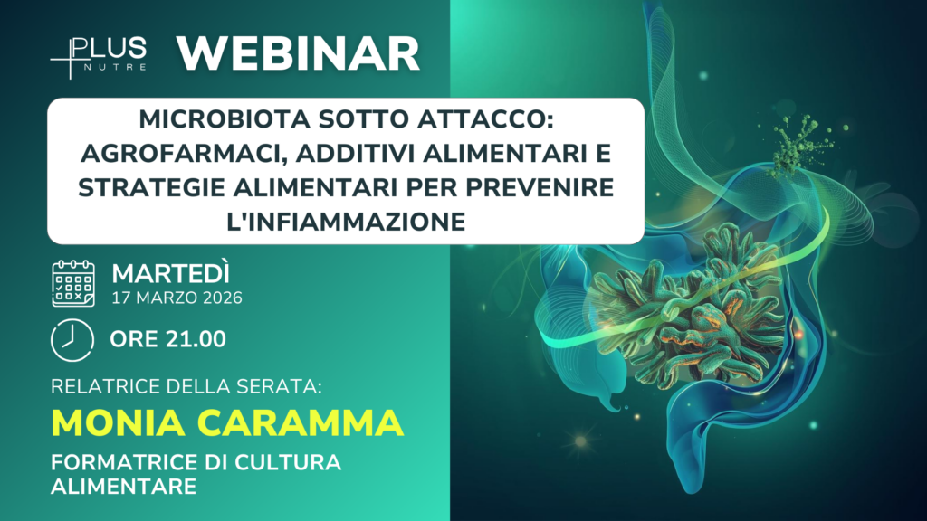 Webinar 17 Marzo